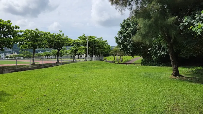 Wide grassy area with trees at Yoshinoura Park in Okinawa