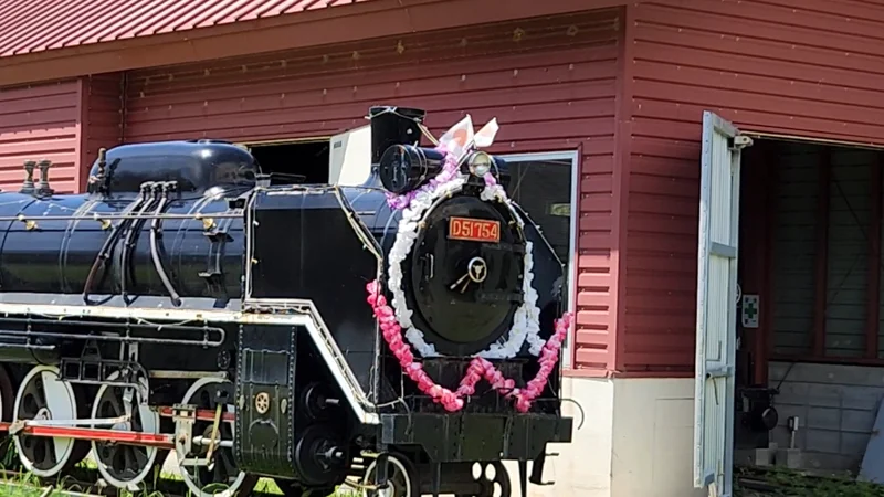 Black steam train decorated with flowers at Neo Park
