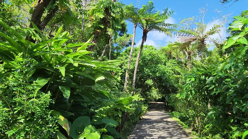 Walking path through subtropical vegetation at Bios no Oka Park in Okinawa