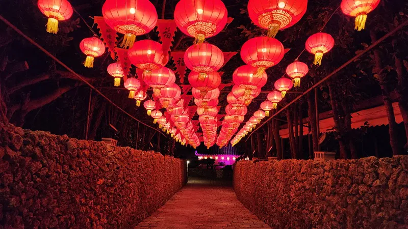 Pathway lined with red lanterns during a lantern festival