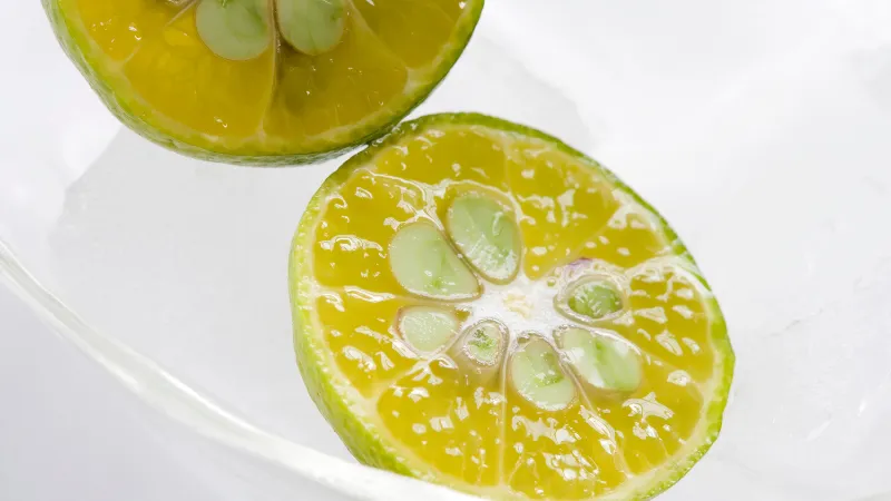 Gros plan sur un shikuwasa coupé en deux montrant les graines et la pulpe.