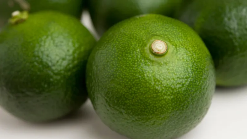 Gros plan sur un shikuwasa montrant sa peau verte texturée.
