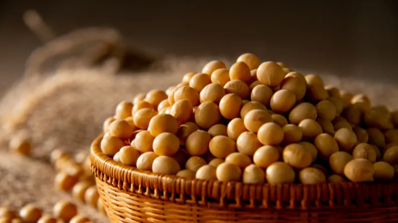 Basket filled with dried soybeans on a rustic surface