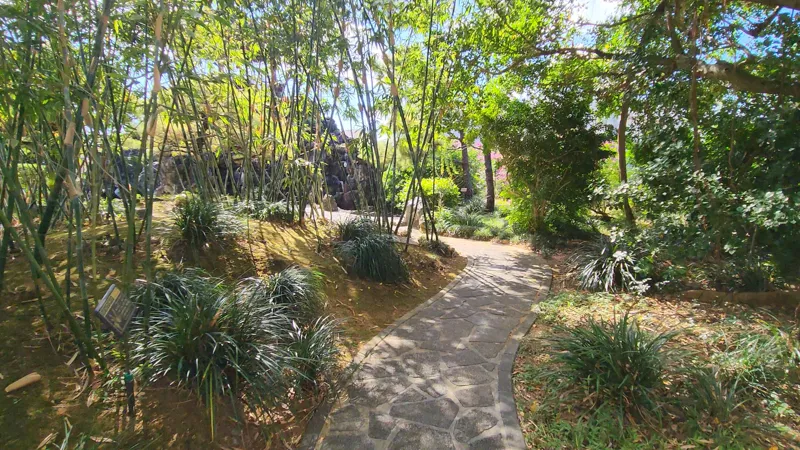 Stone path winding through bamboo and greenery in Garden Okinawa