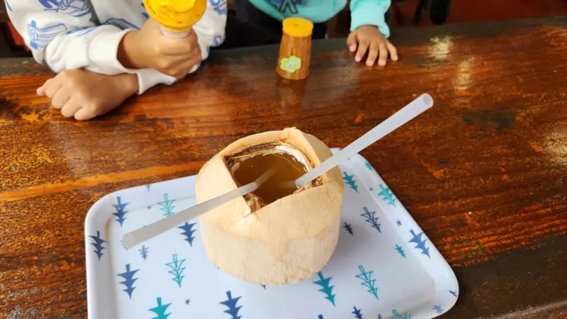 Coconut juice with a straw served on a tray at Okinawa World