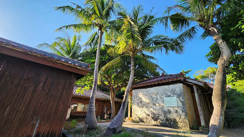 Tropical palm trees next to a stone building in a traditional Okinawan village
